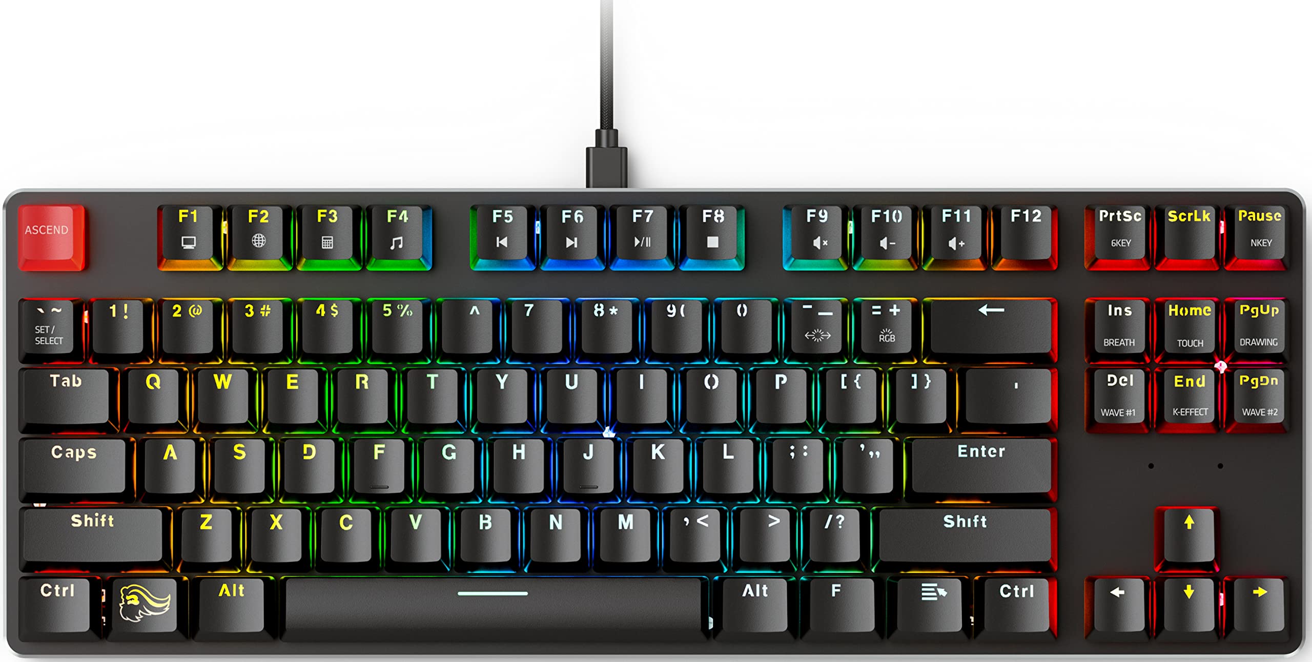 Glorious Modular Mechanical Gaming Keyboard - Tenkeyless TKL 87 Key - RGB LED Backlit Brown Switches Hot Swap Switches B