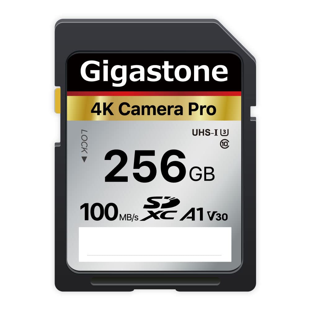 Gigastone 256GB SD Card V30 SDXC Memory Card High Speed 4K Ultra HD UHD Video Compatible with Canon Nikon Sony Pentax Kodak O